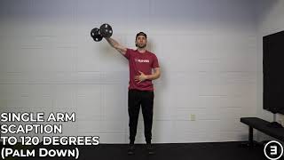 Single Arm Scaption to 120 Degrees (Palm Down)