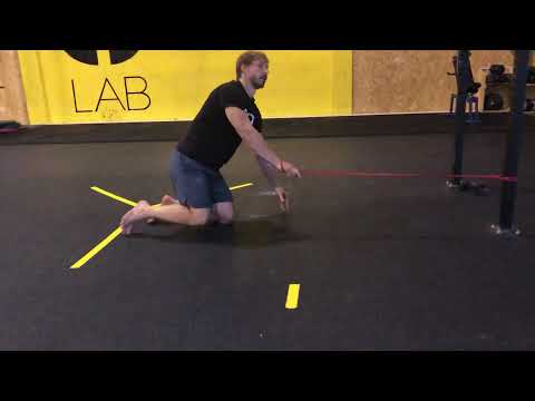 Body Mechanics - Bear Crawl Row with Band - ONAIR