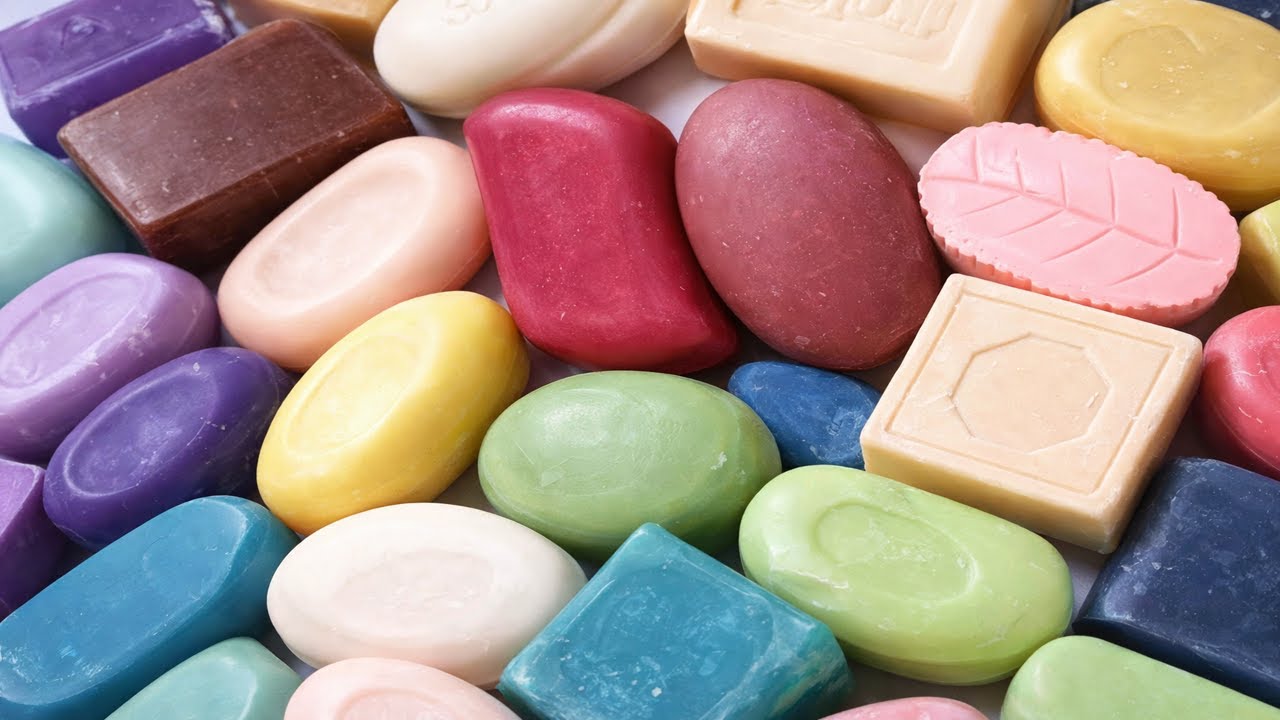 Architect-Level Indoor Succulent Design 🌿 Build a Premium Living Space