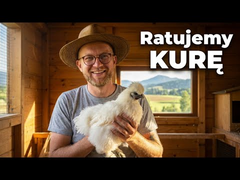Ostatnia szansa, żeby jej nie stracić 🐔 [Dom w górach]
