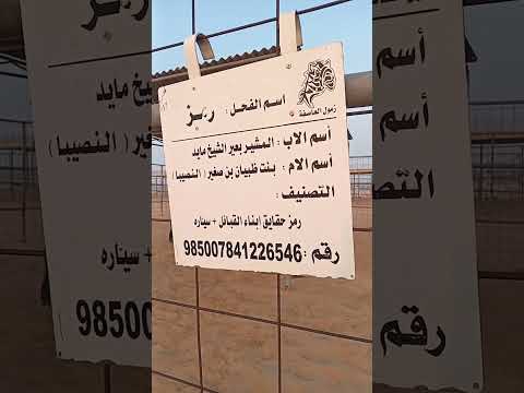 رمز العاصفه
