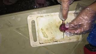 Performance task of cookery 10
