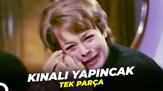 Kınalı Yapıncak Hülya Koçyiğit Eski Türk Filmi Full İzle