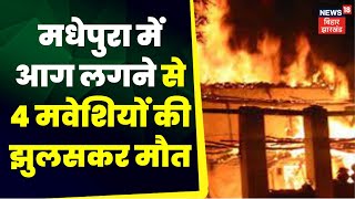 Madhepura में लगी भीषण आग, 4 मवेशियों की झुलसकर मौत। Top News | Fire News | Bihar News | Madhepura screenshot 3