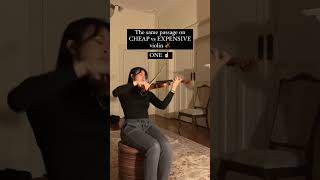 Celebrity CHEAP vs EXPENSIVE violin?...#shorts Wealth