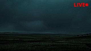 Welcome to the Night Storm 🌾 Open Meadow, Gentle Wind & Rolling Thunder for Sleep, Study and Reading