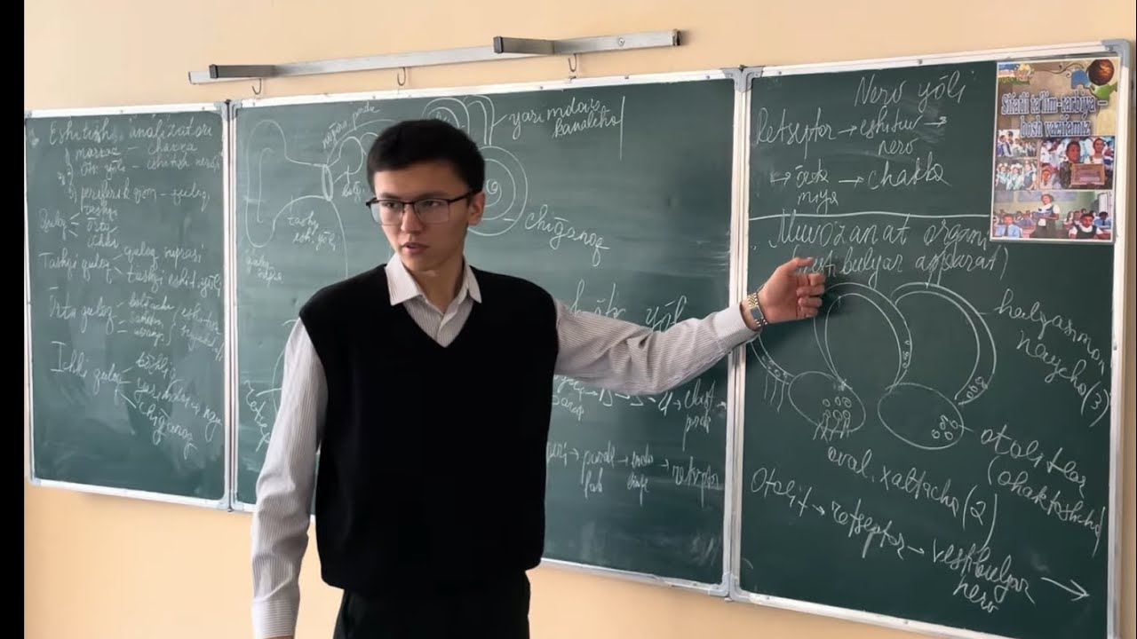 Muvozanat organi(vestibulyar apparat)