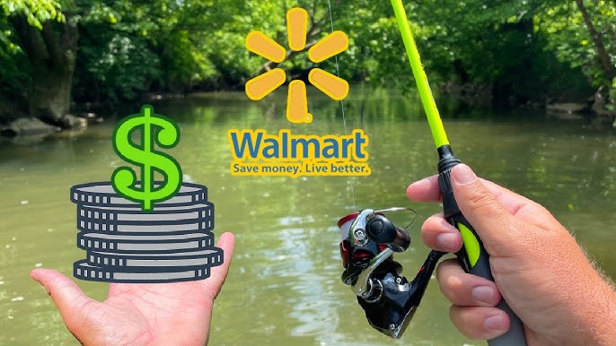 EXTREME!! Walmart TINY Creek Fishing Challenge 