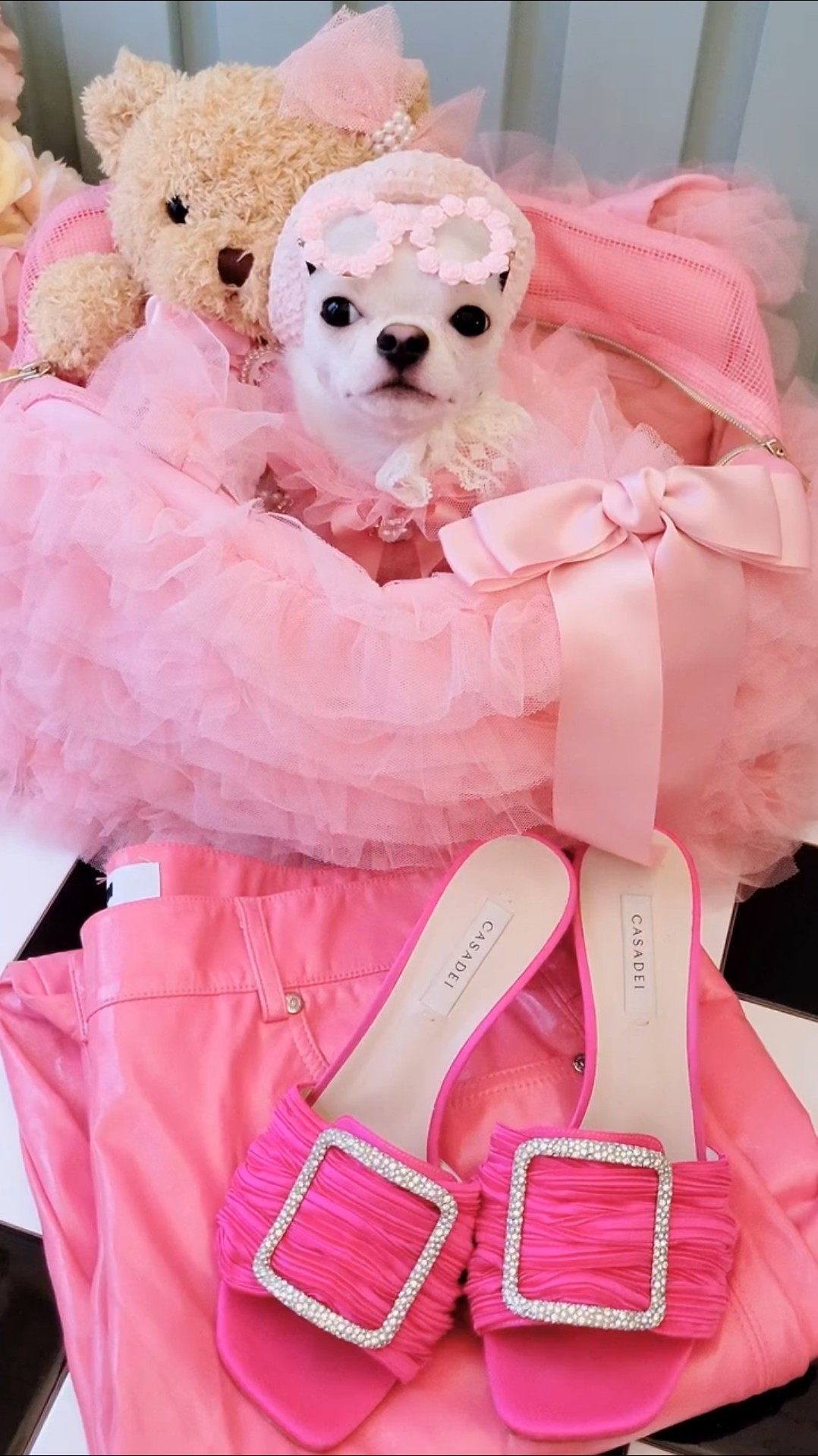 Love PINK 💗💗💗 #doglife #wooflink - YouTube