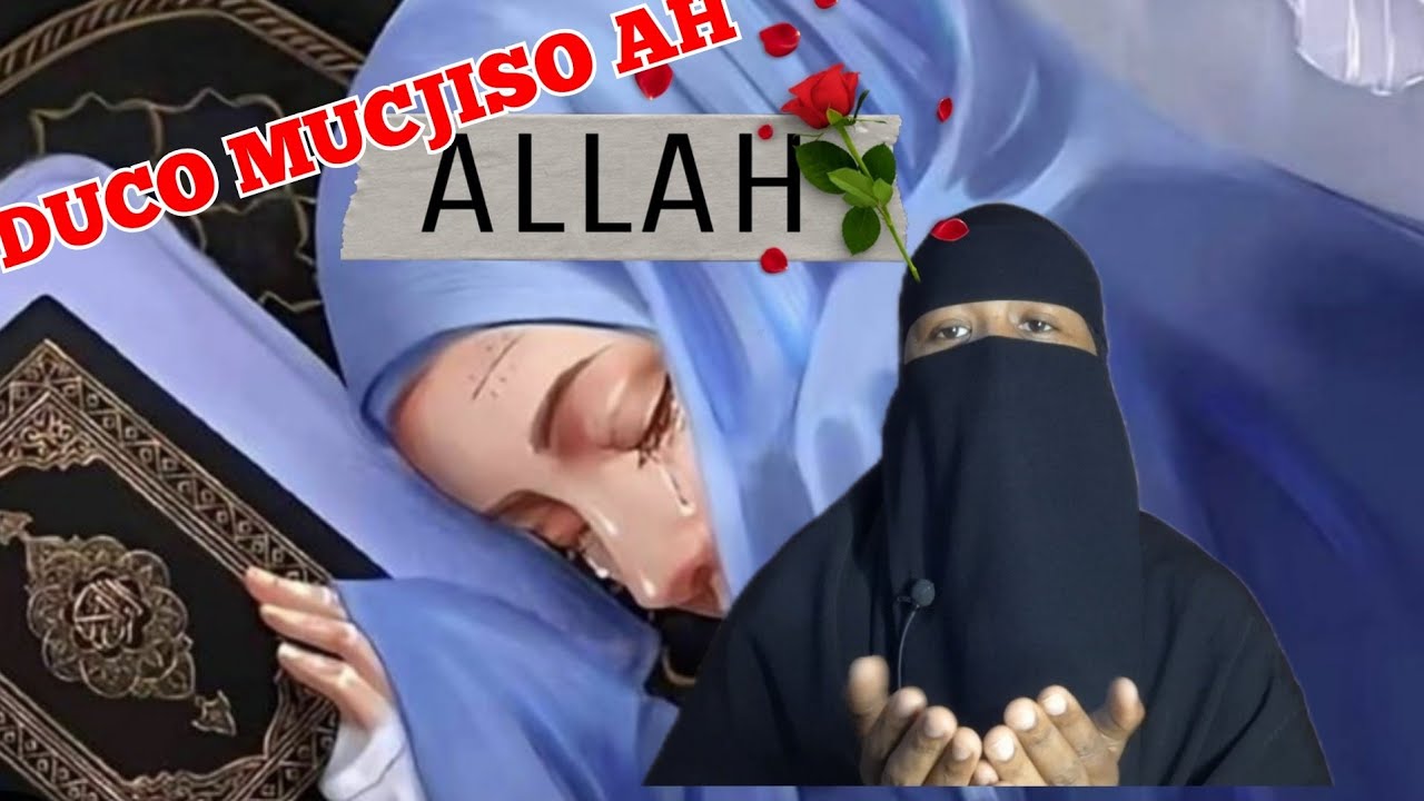 #QISO  DUCO MUCJISO AH AYAY KU DUCEYSATAY AYDO  DHIMAN RABTO!!@canabchannel1