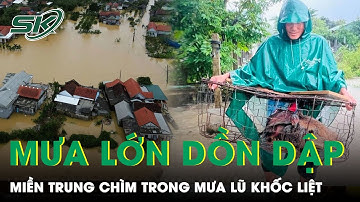 Mưa Lớn Diện Rộng Khốc Liệt Ở Miền Trung, Cảnh Báo Lũ Cấp 3, Quảng Nam Sơ Tán Hơn 100 Hộ Dân | SKĐS