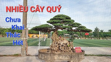 Xuất hiện nhiều TP DÁNG THẾ ĐỘC - LẠ tại TL HẢI HẬU - NAM ĐỊNH 2023 .