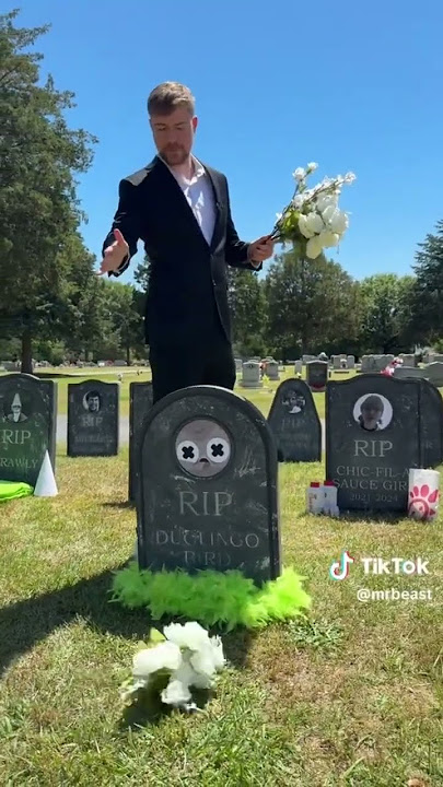All DEAD Memes in 2025 🪦🪦🪦#mrbeast #2025 #rip #fyp