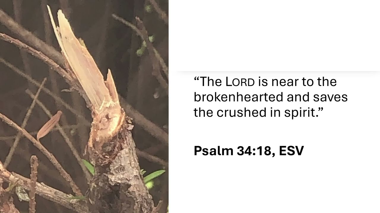 God's Hedge of Protection: Dementia