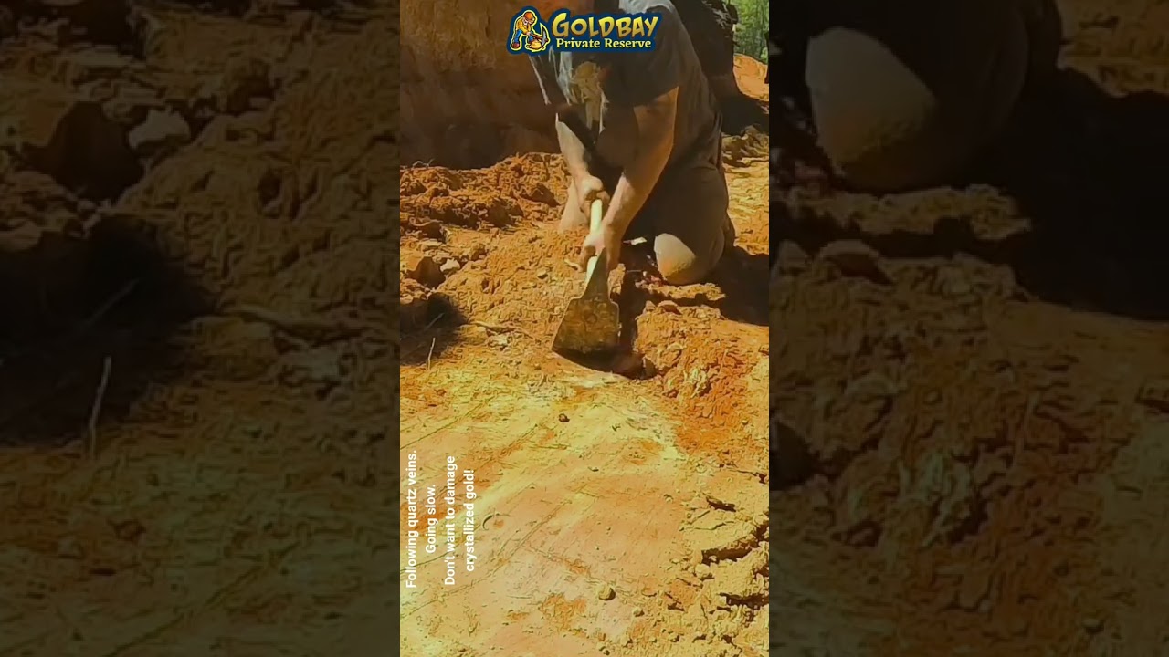 Following quartz veins. Going slow. Don't want to damage crystallized gold! 