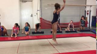 Recreational Level 1 Trampoline