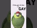 1k subs?