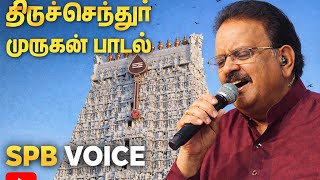 If you say there is no one, Kandan will come | Thiruchendur Murugan Song | SPB voice