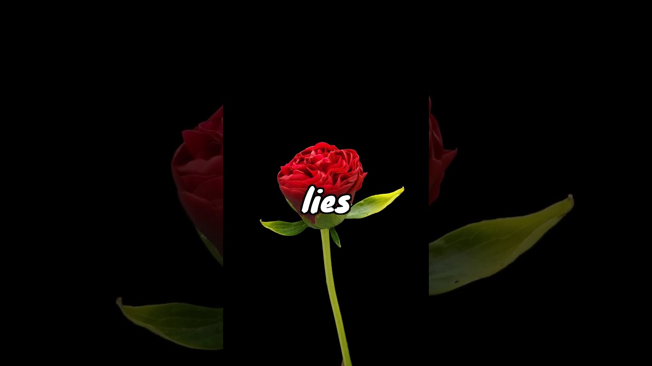 Strongest Storms Bloom Brightest Flowers 🌸 Finding Quiet Power Within 