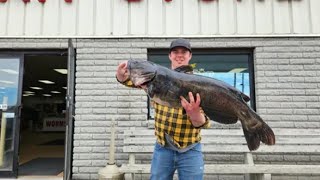 Record Breaking Catfish Caught in Dexter