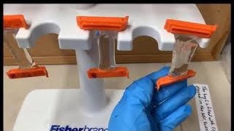 Chapter 5 Lab Demonstration: Osmosis in artificial cells and a virtual lab activity