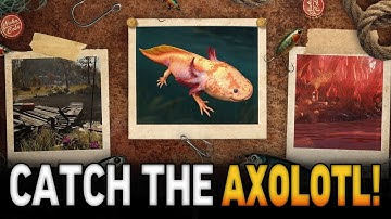 Catch the Rare November Axolotl Fast! | Fallout 76 Axolotl Guide