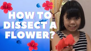 HOW TO DISSECT A FLOWER l PARTS OF A FLOWER I GRADE 4 PERFORMANCE TASK