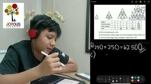 The "Unsolvable" 2019 PSLE Mathematics Question