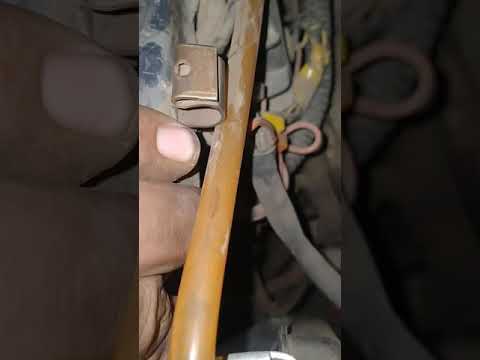 كلبس سيخ الكبوت