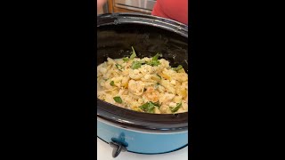 Scrumptious crockpot pasta dinner (Alfredo shrimp, tortellini)