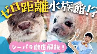 行く前に見て！伊勢シーパラダイスが100倍楽しくなる完全ガイド【ゼロ距離水族館】