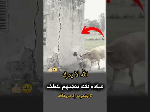 الله لا يترك عباده لكنه ينجيهم بلطف لا يشعر به إلا من ذاقه