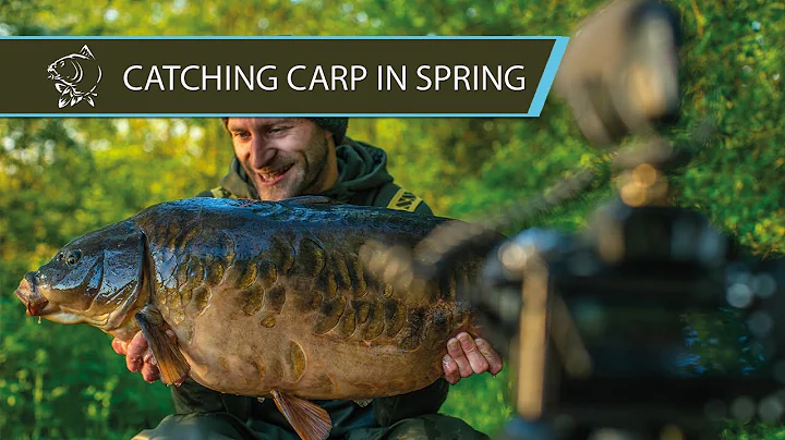 CATCHING CARP IN SPRING - Jimmy Hibbard