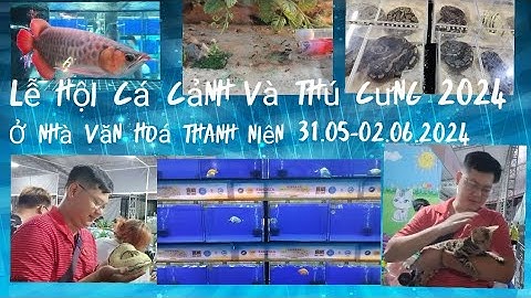 Lễ hội cá cảnh và thú cưng 2024 ở nhà văn hoá thanh niên