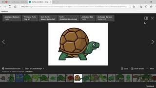Turtle GIF's