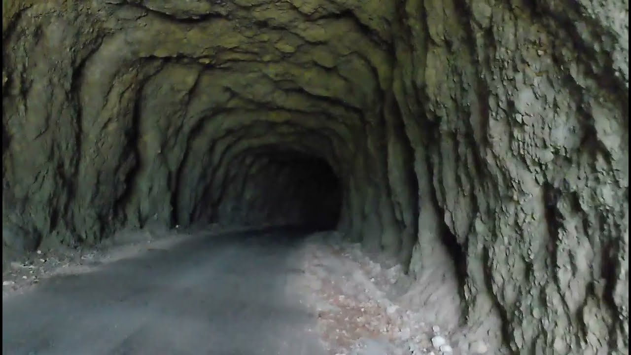 Foresta Cajada e Malga Palughet...