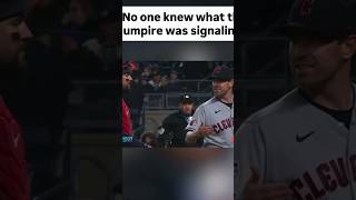 Famous Nobody had a clue what the umpire was signaling — players were confused, fans were lost#baseball Profile