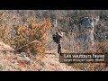 Vautours dans les gorges de la jonte   lozre  wildlife photographer benoit lagambas