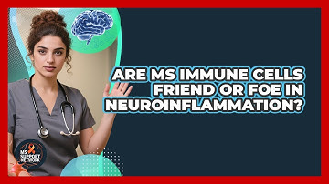 Are MS Immune Cells Friend Or Foe In Neuroinflammation? - MS Support Network