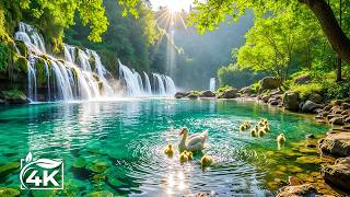 Gentle Relaxing Music 🌿 Soothing Piano Music Helps Heal the Soul, Balance Emotions #18 screenshot 5