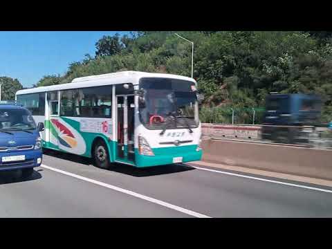 양산 16번과 레이su