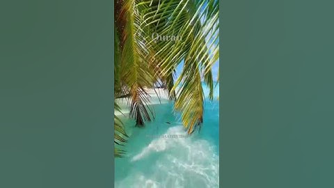 SURAH BANI ISRAEL (AL-ISRA) FULL (سورة بنى اسرائيل) URDU TRANSLATION #imamqasim#islamicvideo#hafidh