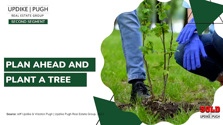 Plan Ahead & Plant A Tree - SOLD with Updike Pugh