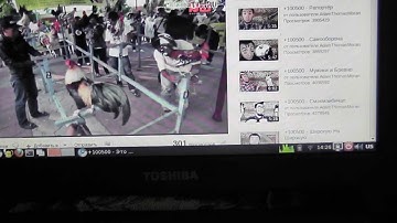 Toshiba ac100 ubuntu phh (backlight, flash, HD video, suspend)