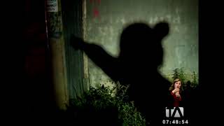 Cinco Sujetos Lanzan Bombas Molotov Contra Una Vivienda Por Venganza -Teleamazonas