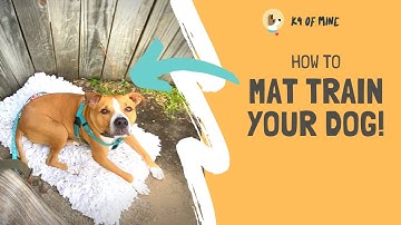 Dog Mat Training: Teaching Your Dog to Relax on a Mat!