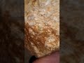 Secrets of Ancient Sandstone: Earth’s Prehistoric Chronicles