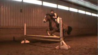 Jumping Our Welsh Cobs