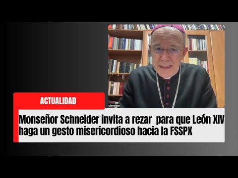 Bishop Schneider invites people to pray that Leo XIV will make a merciful gesture towards the Fra...