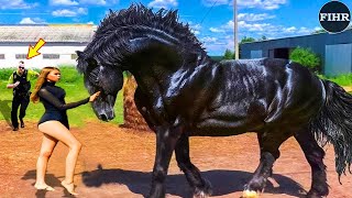 35 MOST BEAUTIFUL AND RESPECT MOMENTS Animals Reunited With Owners After Years | Animal Reunion#R18